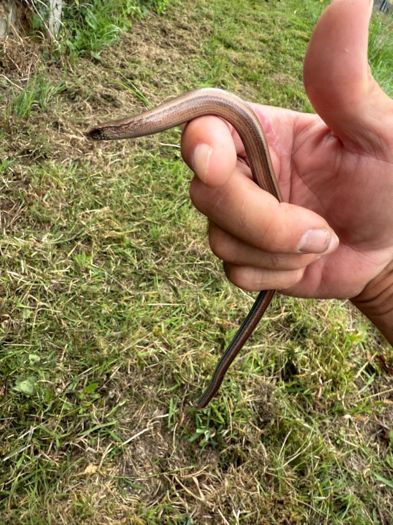 PHOTO-2025-08-02-09-20-31