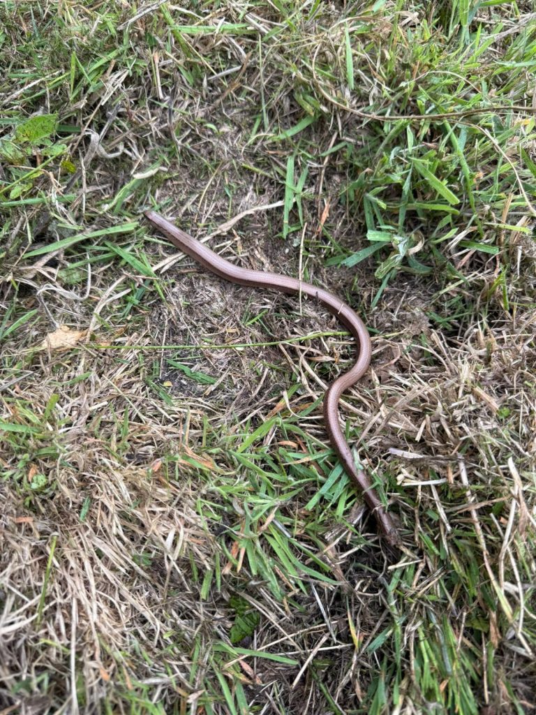 PHOTO-2025-08-02-20-40-39