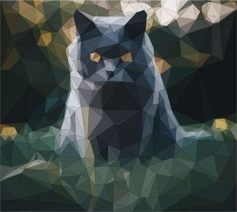 cat-post-image-2