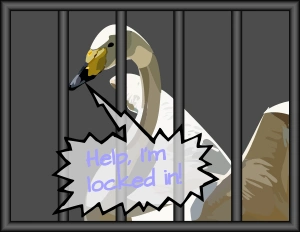 swan
