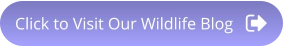 Click to Visit Our Wildlife Blog