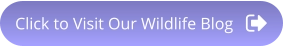 Click to Visit Our Wildlife Blog